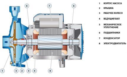 Dijagram dizajna centrifugalne pumpe