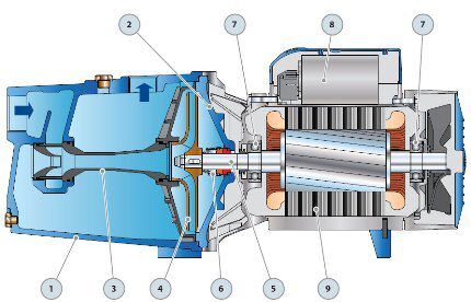 Dijagram dizajna centrifugalne pumpe