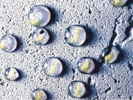 Hydrophobic concrete 