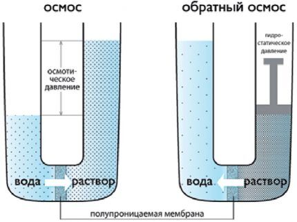 Laboratorijski model osmoze