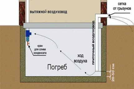 Izvođenje ispušne cijevi