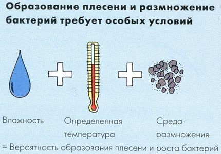 Conditions for fungus