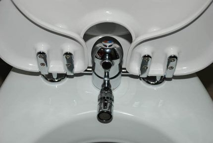 Bidet lid