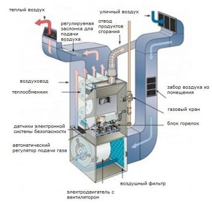 Plinski generator topline