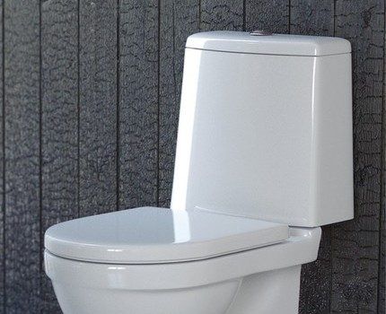 WC daske Sanita Luxe