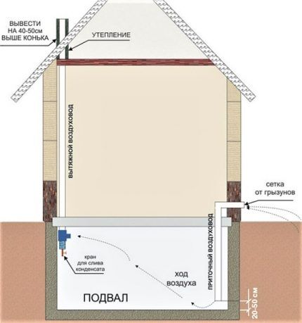 Shema ventilacije podruma