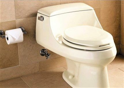 Large floor-standing toilet