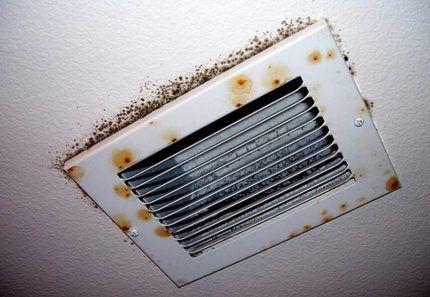 Gljivice u ventilaciji