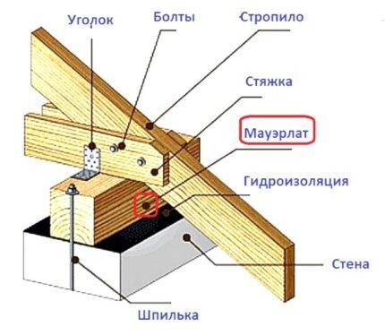 Shematski prikaz Mauerlat