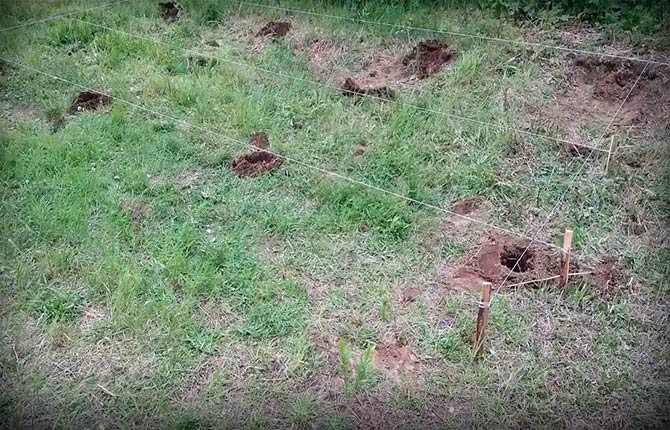 Naslonjena drvena šupa za ljetnu rezidenciju napravite sami: crteži, upute korak po korak