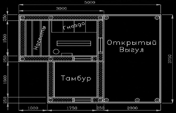 Kako izgraditi kokošinjac vlastitim rukama: upute korak po korak, savjeti